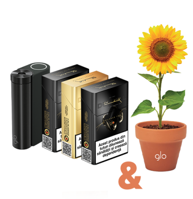 Starter Kit Dunhill designed for glo™ & mini kit de plantat